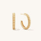 Large Charlotte Hoops